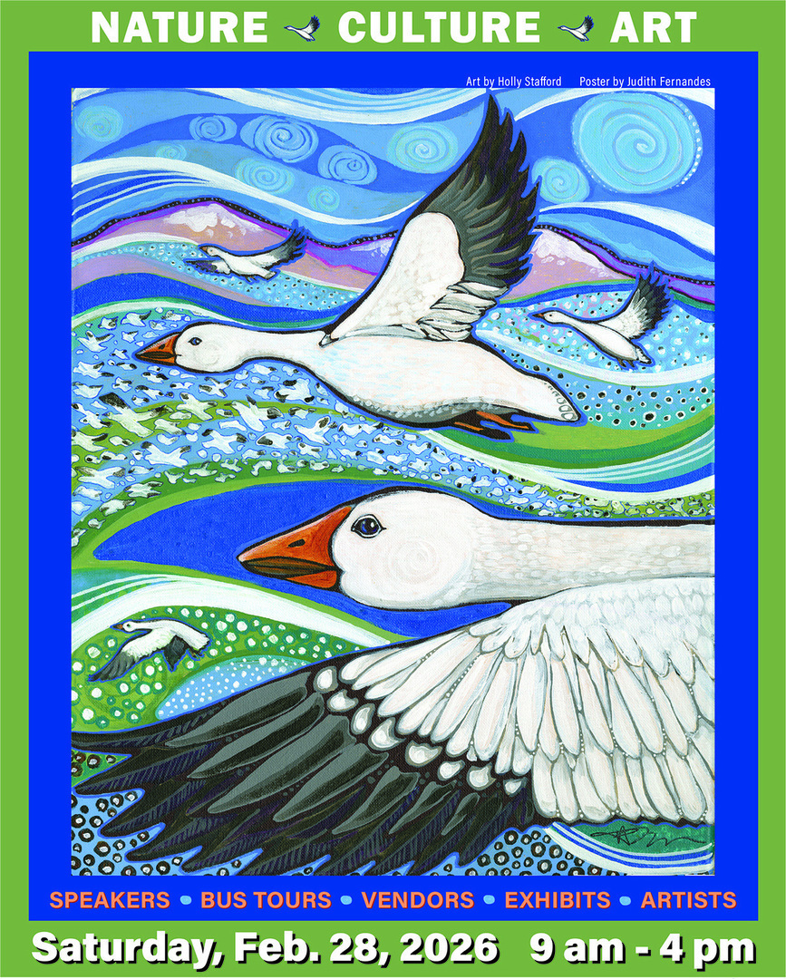 Snow Goose & Birding Festival