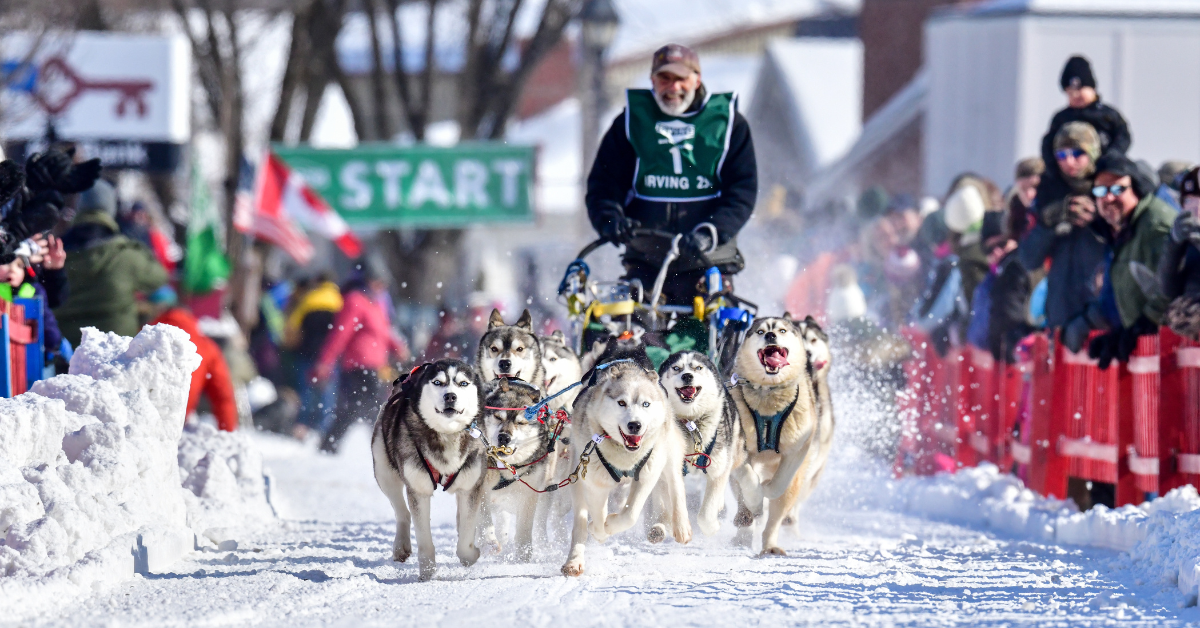 Can-Am Crown International Sled Dog Races - February 2026 Fort Kent, Maine - Can-Am Crown International Sled Dog Races - February 2026 Fort Kent, Maine