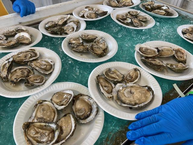 Abingdon Ruritan Club Seafood Festival - Abingdon Ruritan Club Seafood Festival