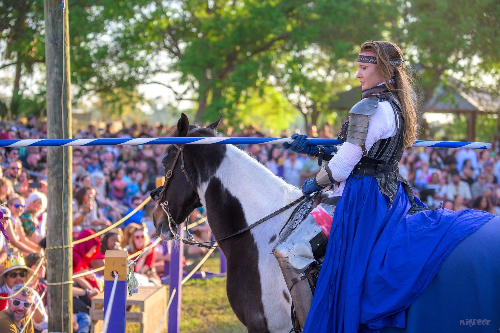 34th Annual Florida Renaissance Festival (eight themed weekends Feb. 7 -  March 29, 2026)