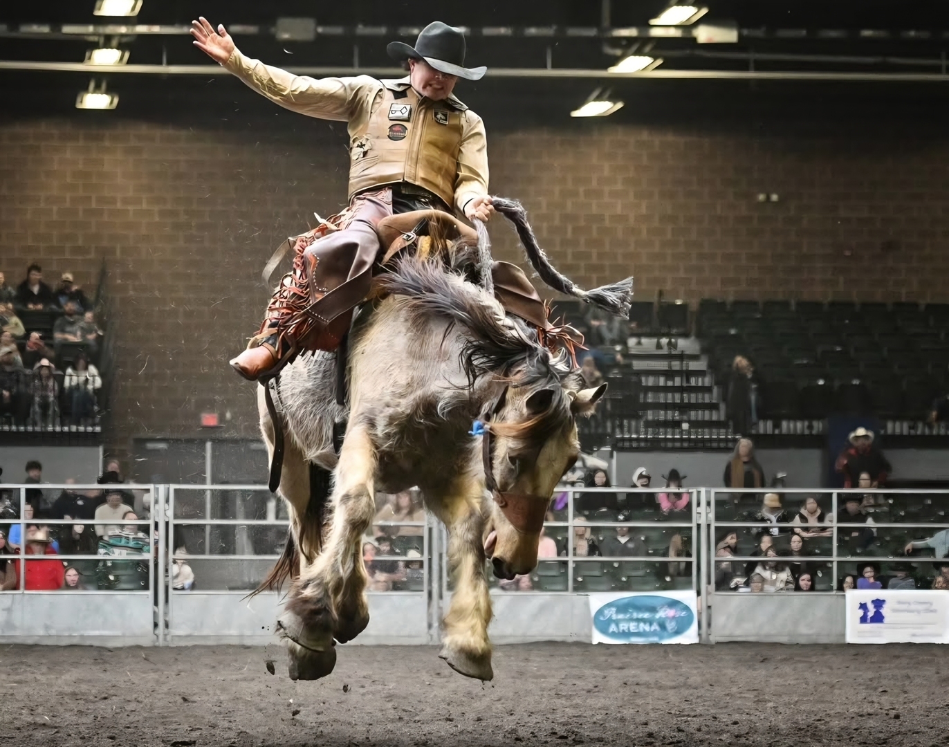Iowa Horse Fair - Iowa Horse Fair