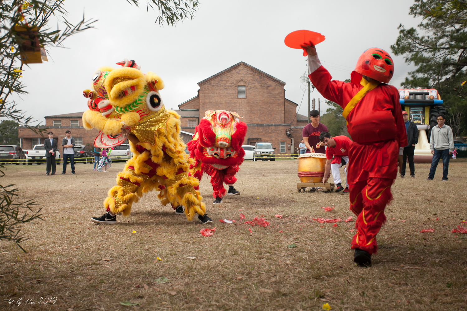 ANNUAL VIETNAMESE NEW YEAR FESTIVAL - ANNUAL VIETNAMESE NEW YEAR FESTIVAL