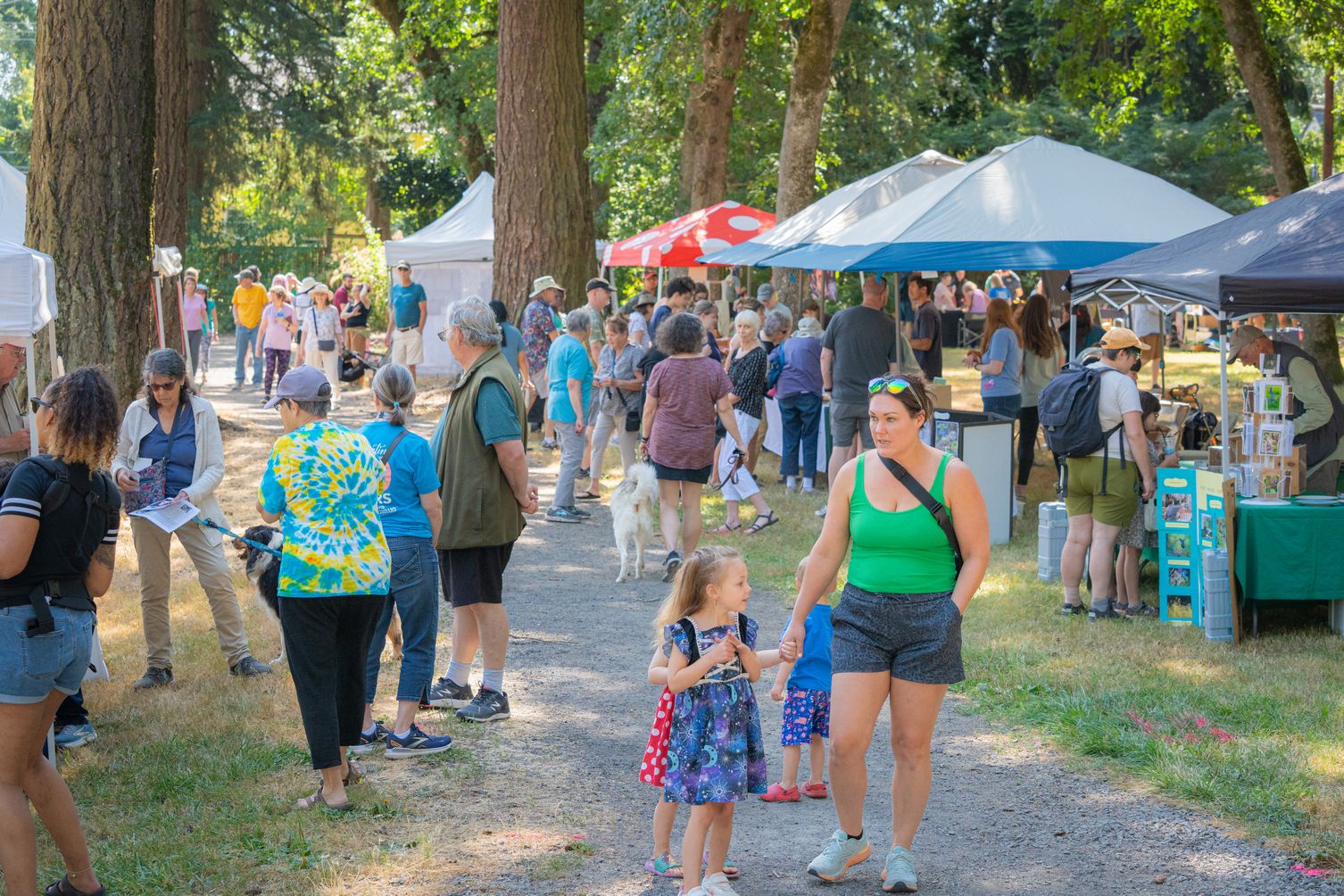 Englewood Forest Festival - Englewood Forest Festival