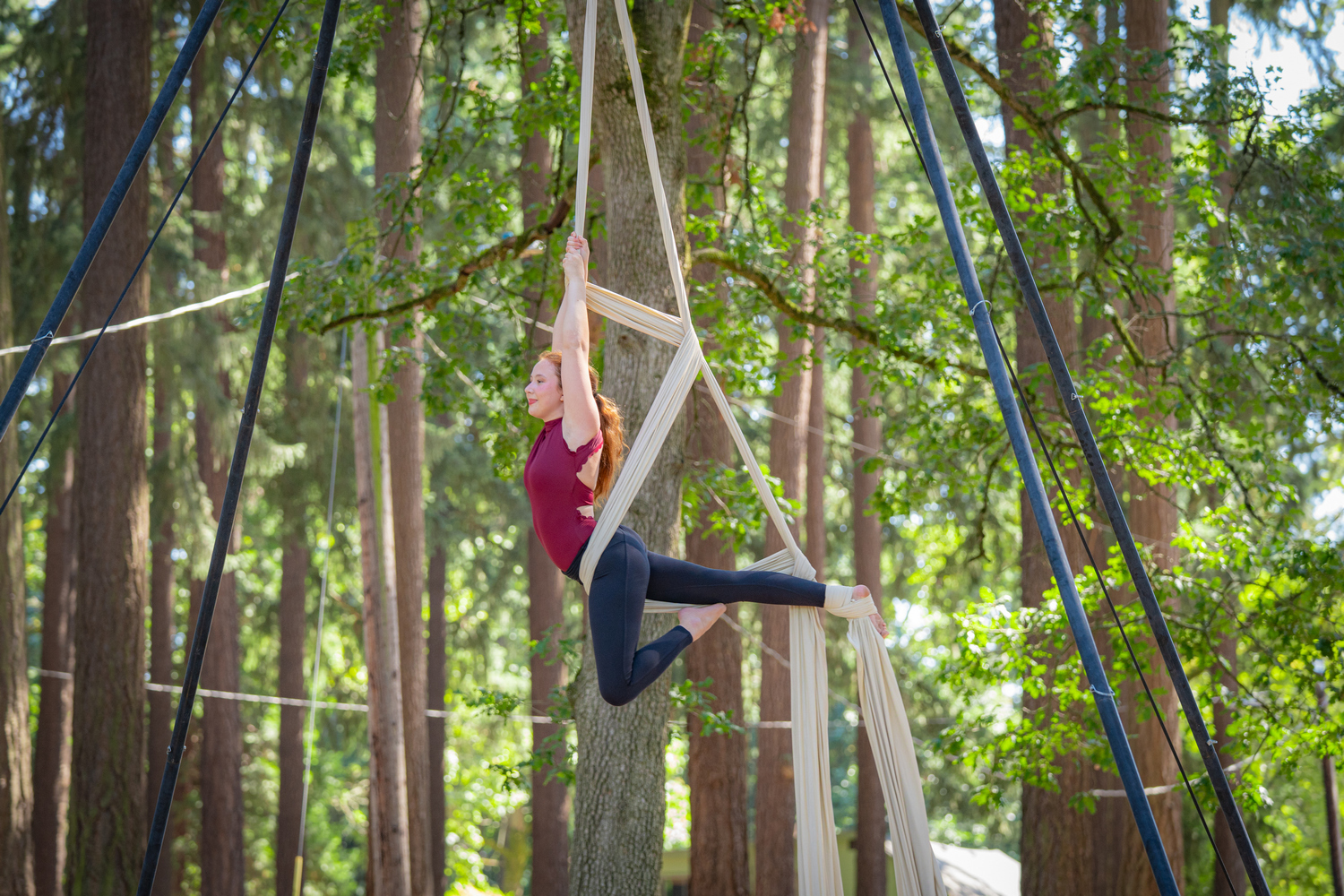 Englewood Forest Festival - Englewood Forest Festival