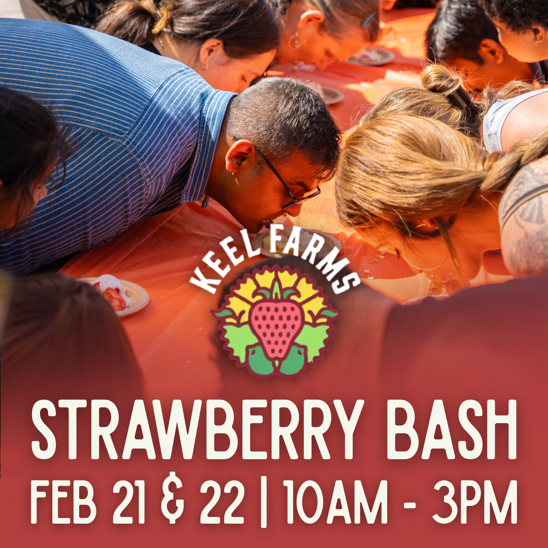 Strawberry Bash at Keel Farms