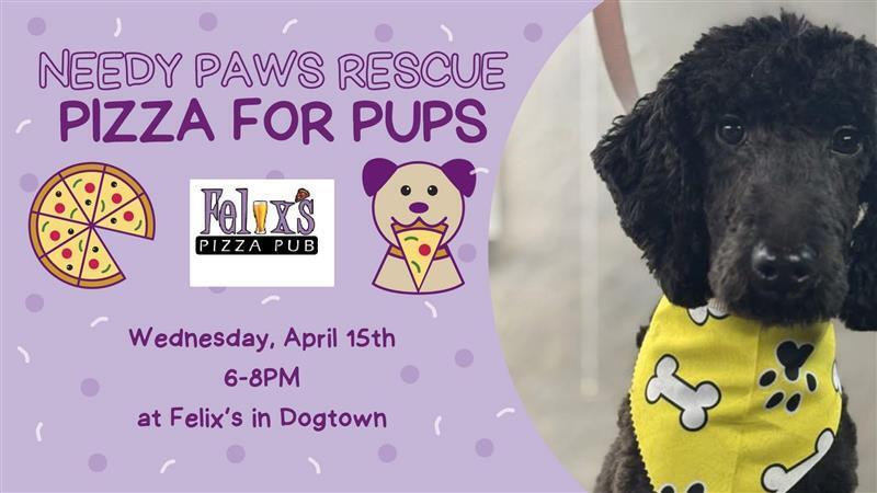 Needy Paws Rescue Hosts 11th Annual 