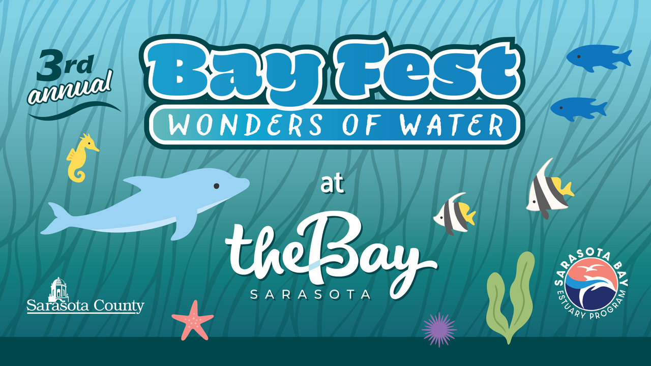 Bay Fest
