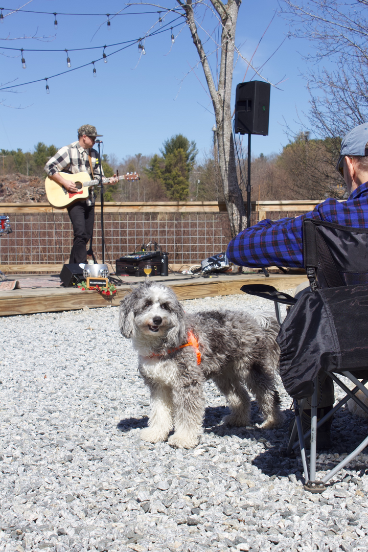 Flannel Fest - Flannel Fest