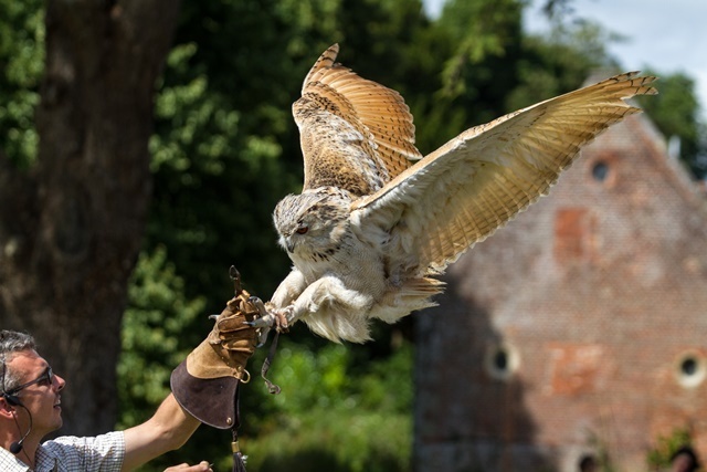 Great Dorset Chilli Festival - Great Dorset Chilli Festival