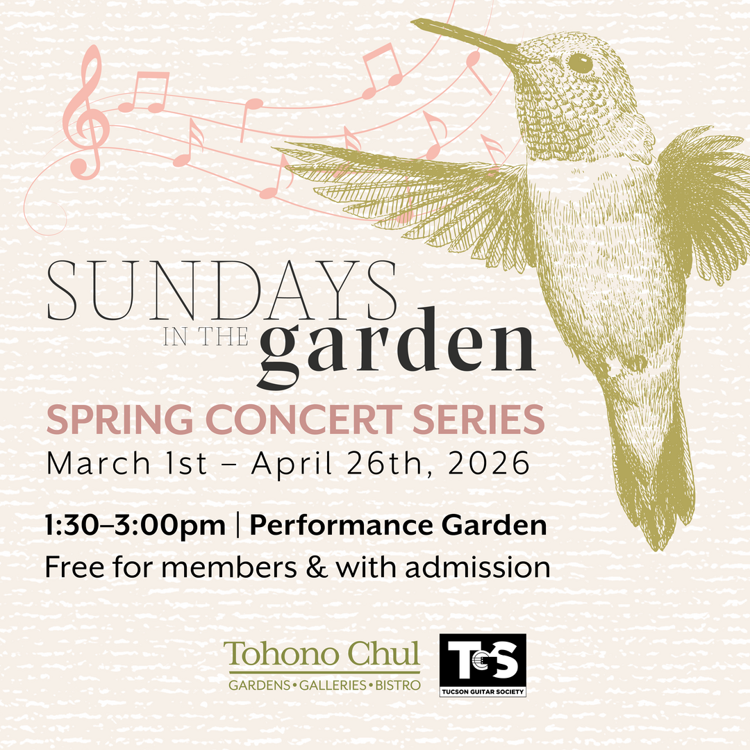 Sundays in the Garden