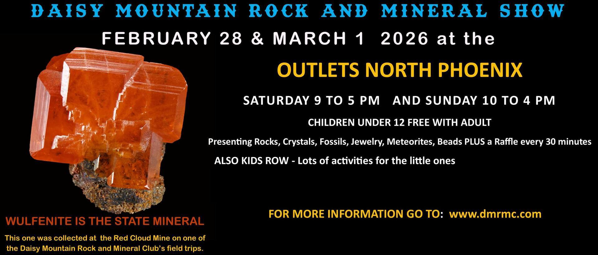 Daisy Mountain Rock and Mineral Show