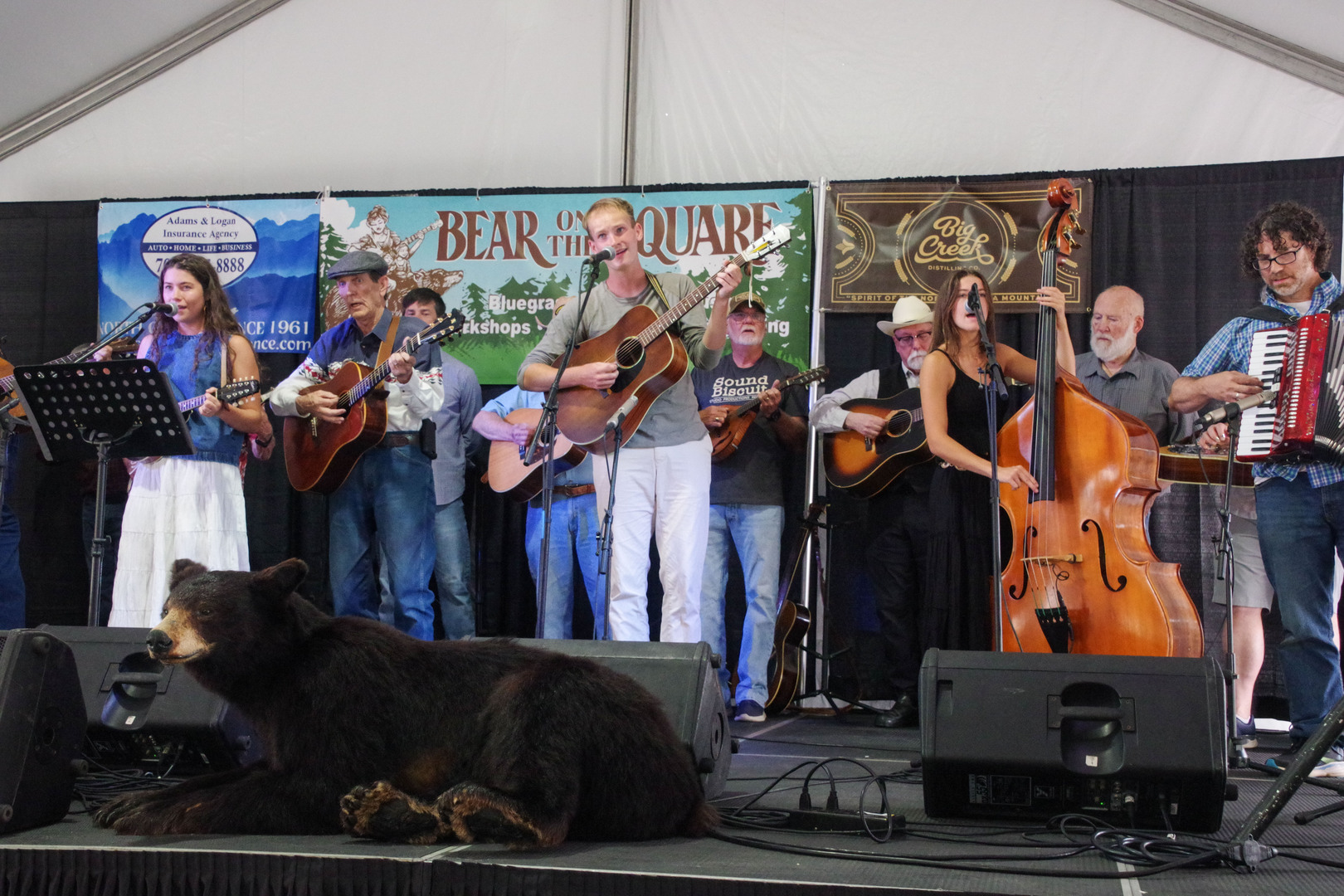 Bear on the Square Mountain Festival