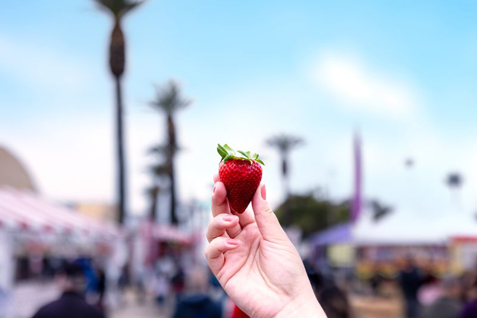 40th Annual California Strawberry Festival
