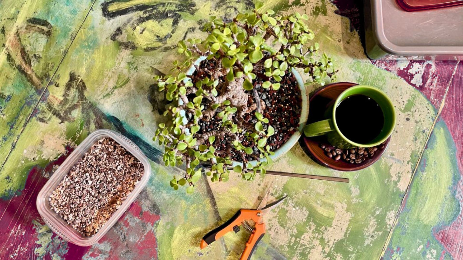 Bonsai & Brews at Raining Berries | Westchase