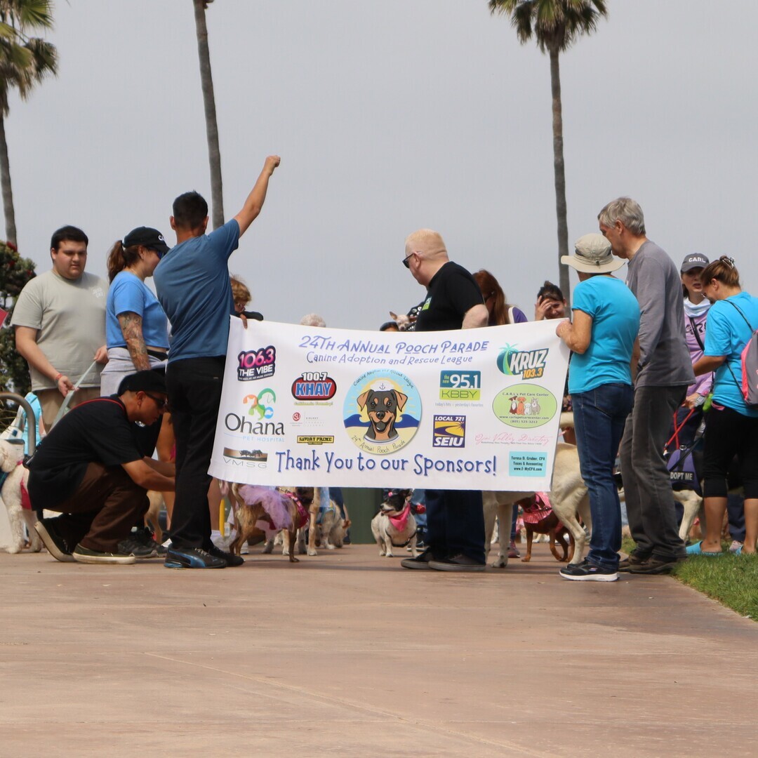 26th Annual Pooch Parade - 26th Annual Pooch Parade