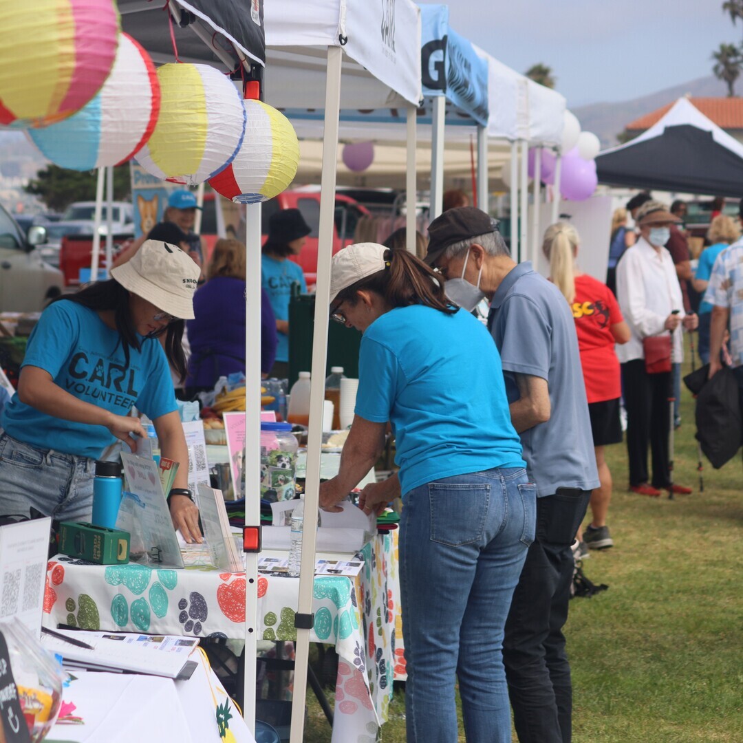 26th Annual Pooch Parade - 26th Annual Pooch Parade