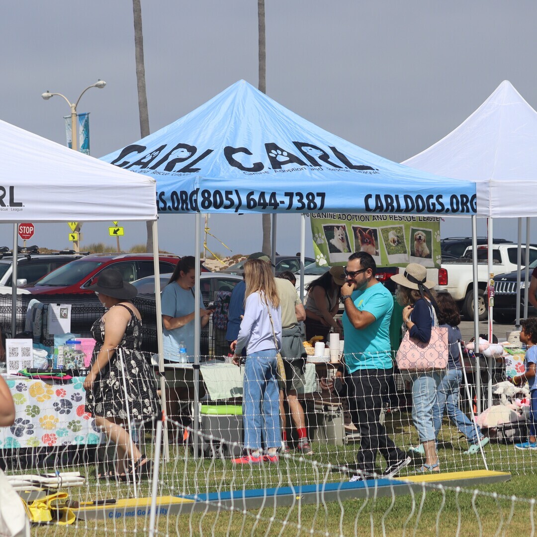 26th Annual Pooch Parade - 26th Annual Pooch Parade