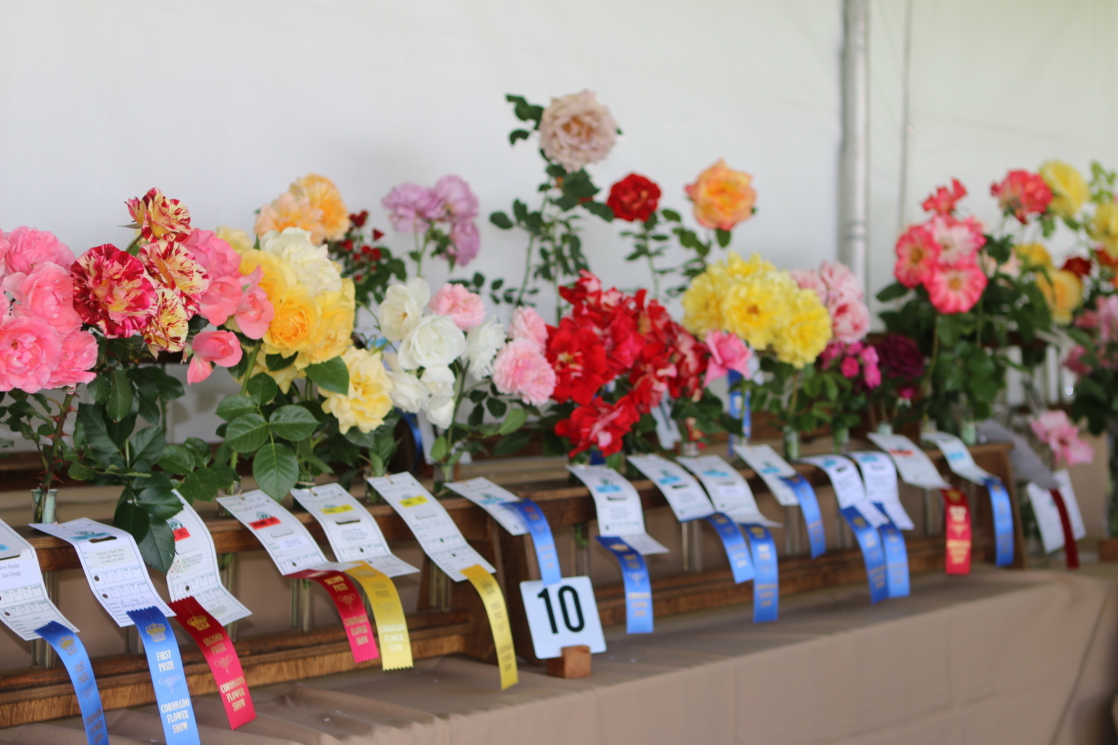 104th Coronado Flower Show
