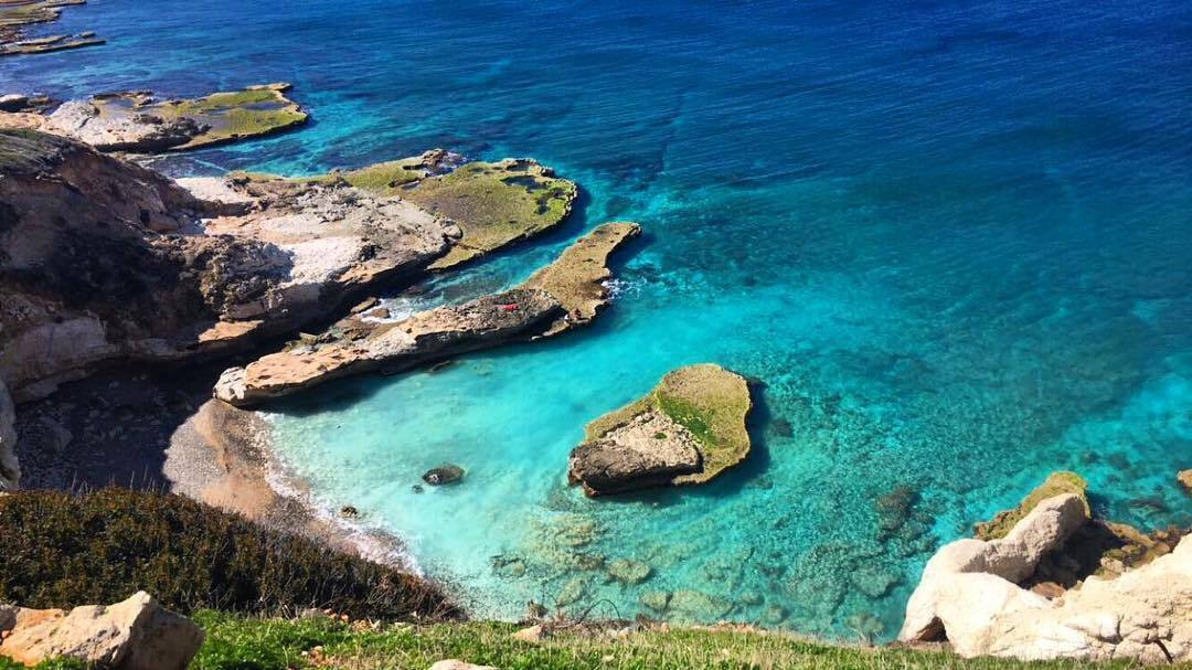 Lebanese Wine Pairing Dinner at Byblos Gainesville - Lebanese Wine Pairing Dinner at Byblos Gainesville