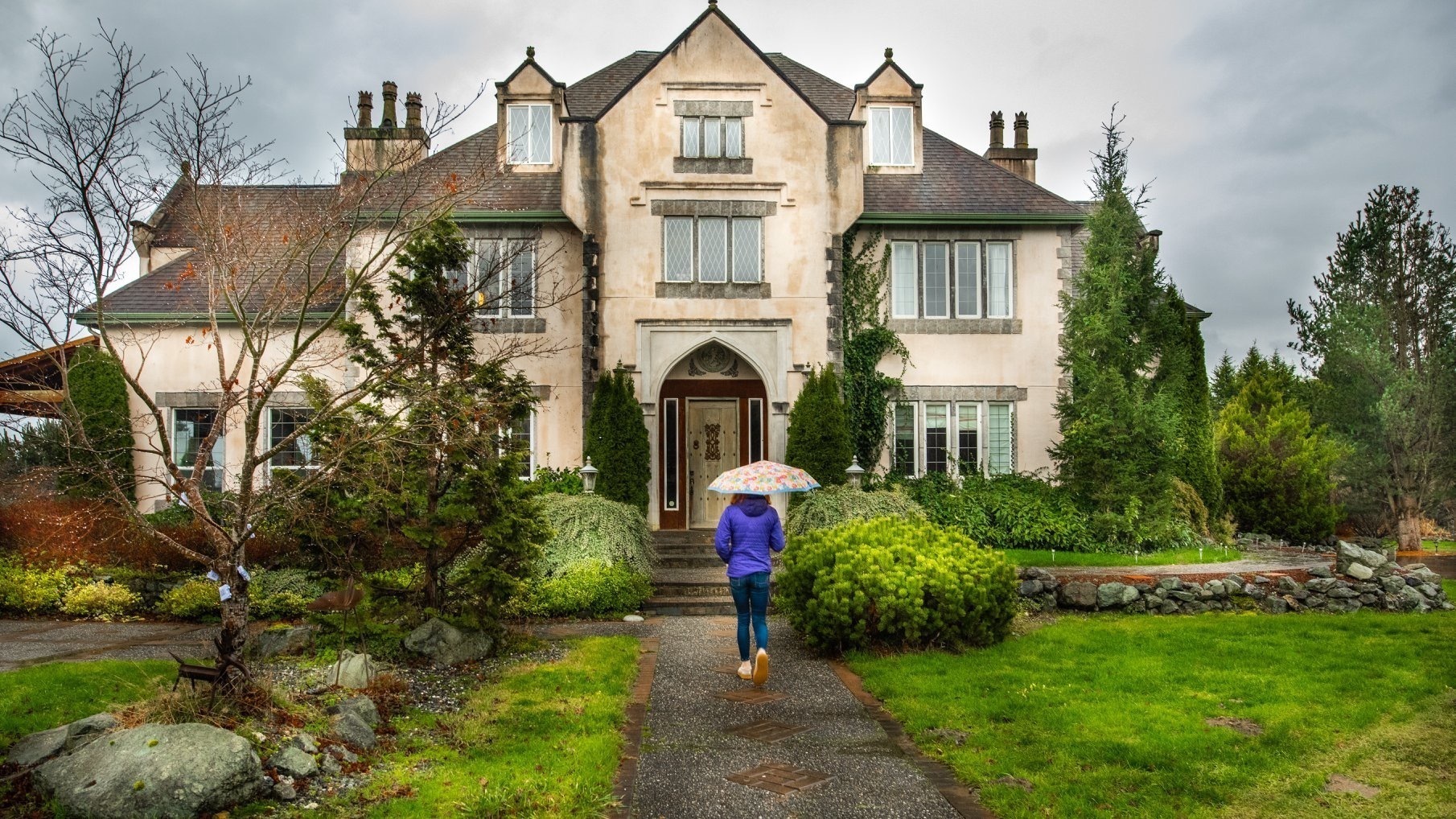 Tea and Tulips - Tea and Tulips