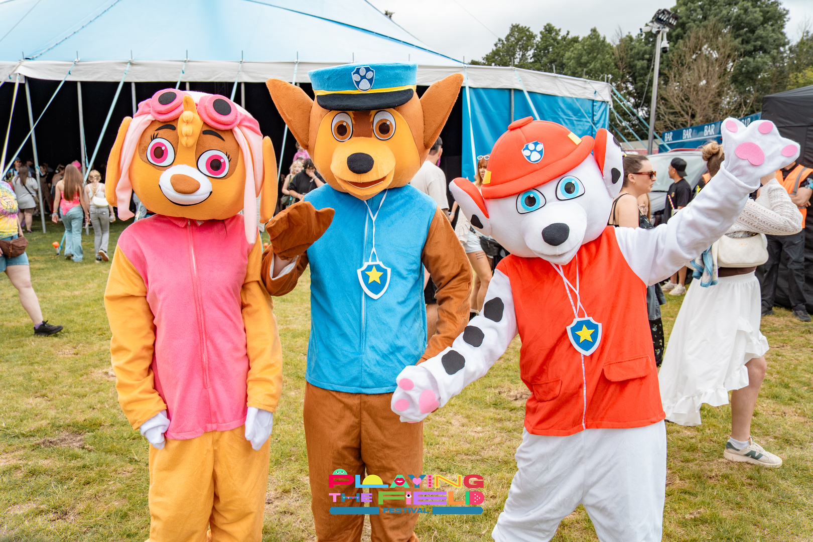 Playing The Field - Playing The Field