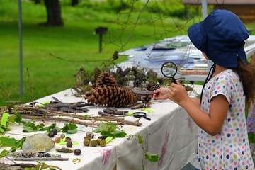 Family Field Day at Laurel Hill State Park