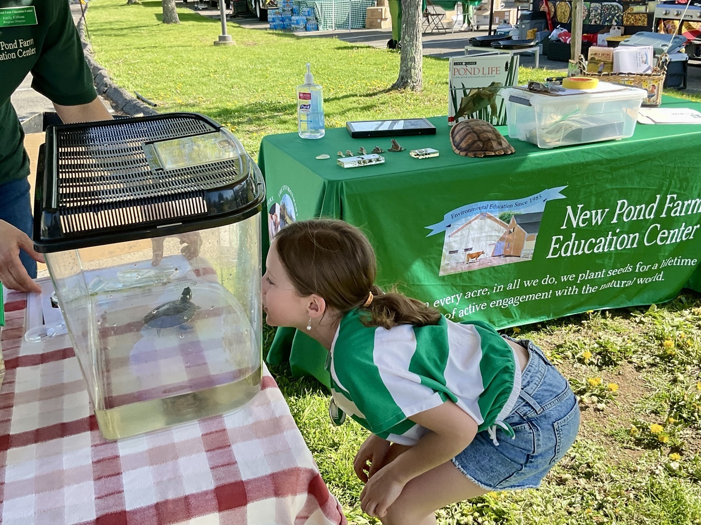 29th Annual Frog Frolic Family Festival - 29th Annual Frog Frolic Family Festival