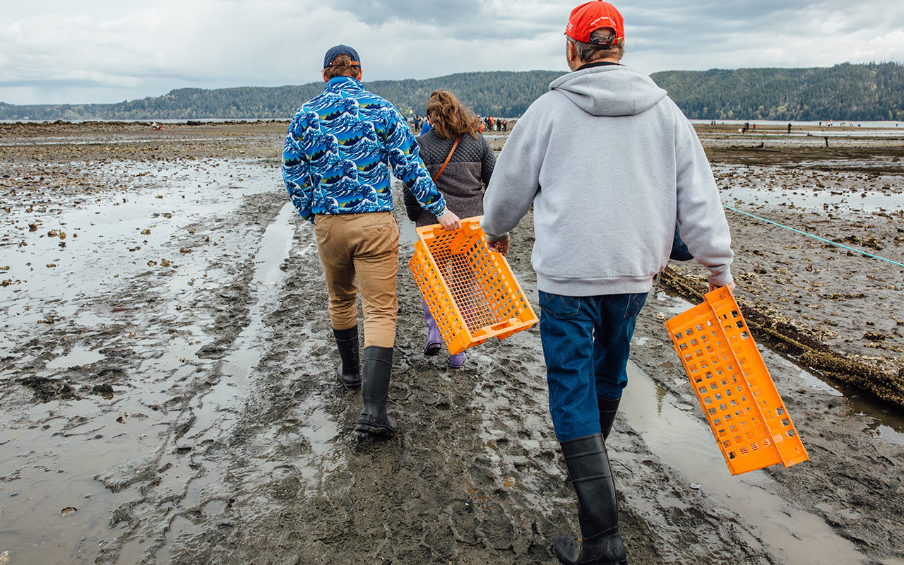 Hama Hama Oyster Rama - Hama Hama Oyster Rama