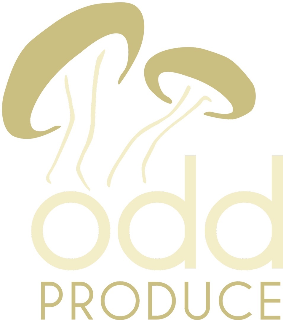 Eat the Neighborhood: Foraging and Nature Walk