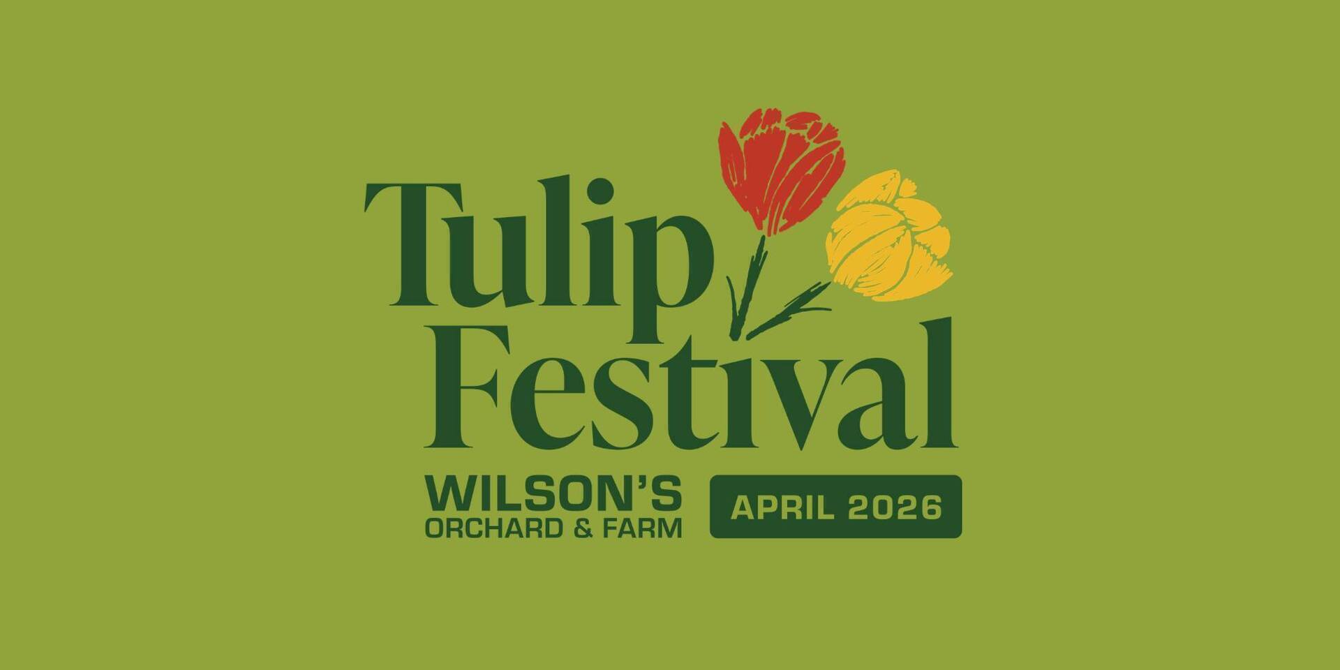 Des Moines Tulip Festival at WIlson's Orchard & Farm! ??????