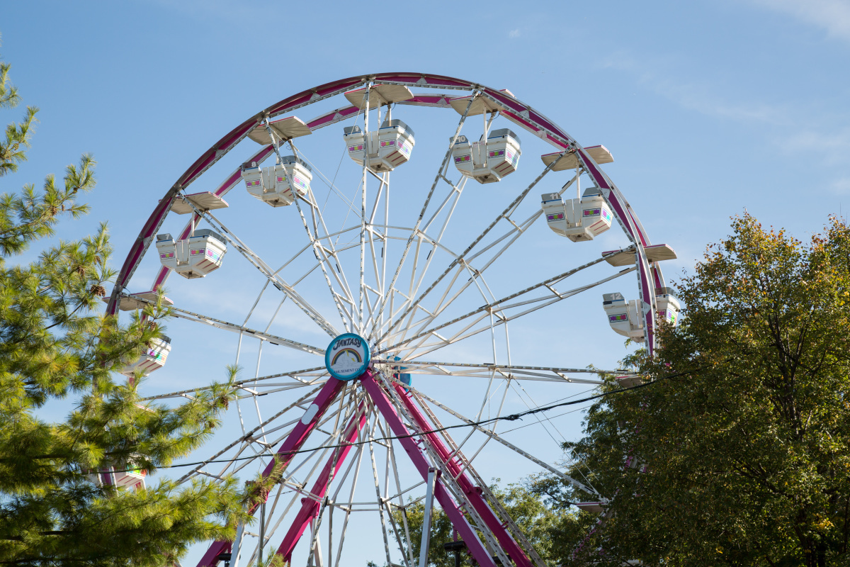 Summer Kickoff at Lincoln Park Zoo - Summer Kickoff at Lincoln Park Zoo