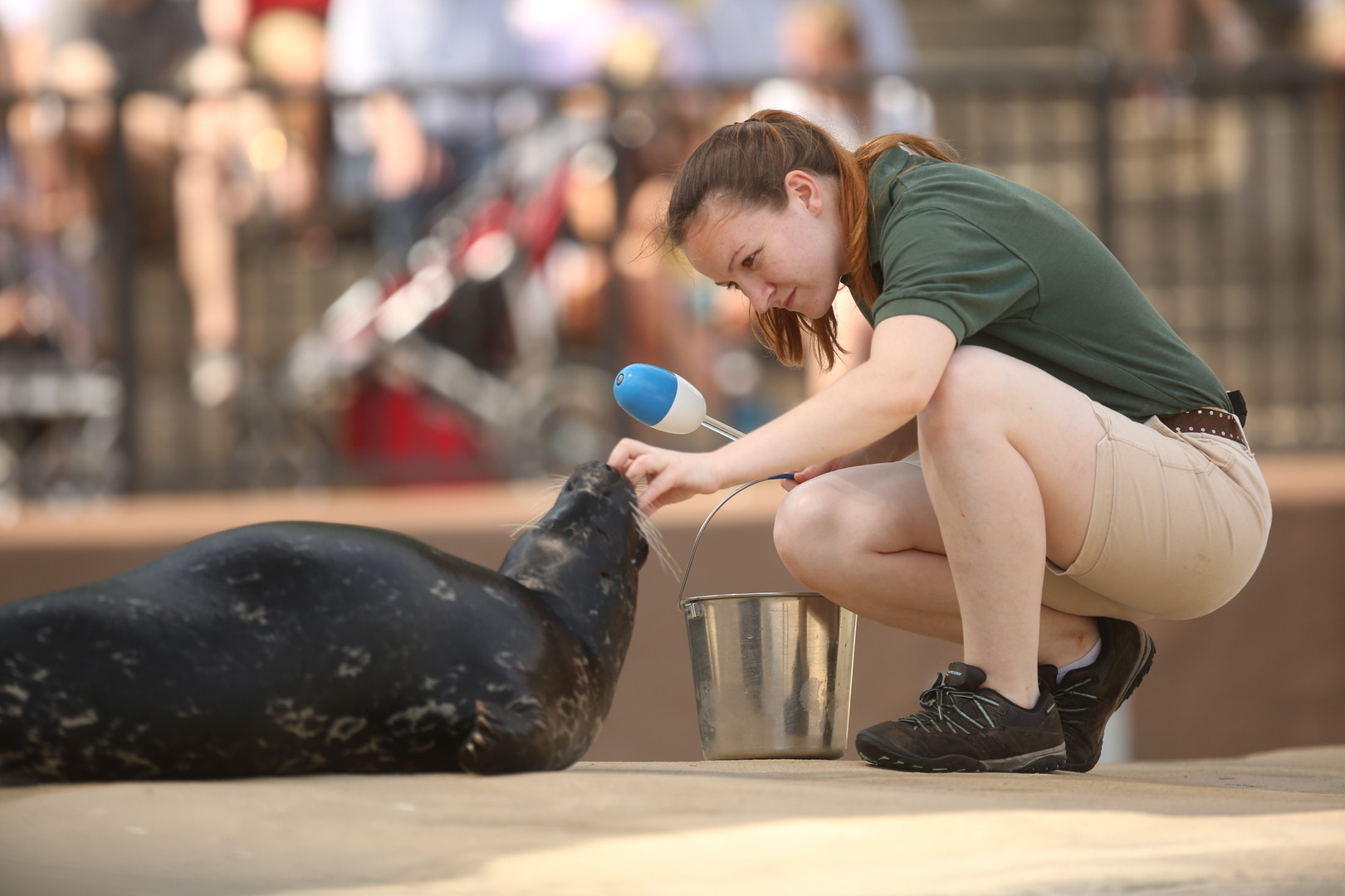 Summer Kickoff at Lincoln Park Zoo - Summer Kickoff at Lincoln Park Zoo