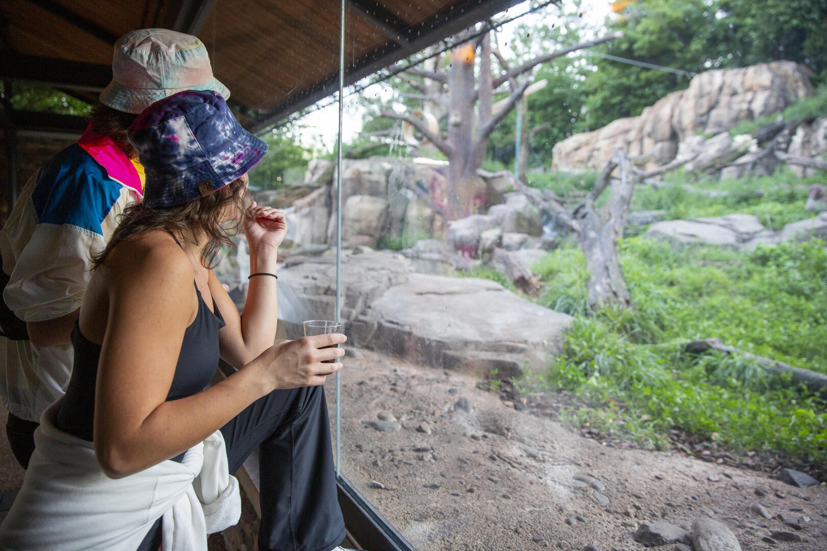 Adults Night Out: Block Party at Lincoln Park Zoo - Adults Night Out: Block Party at Lincoln Park Zoo