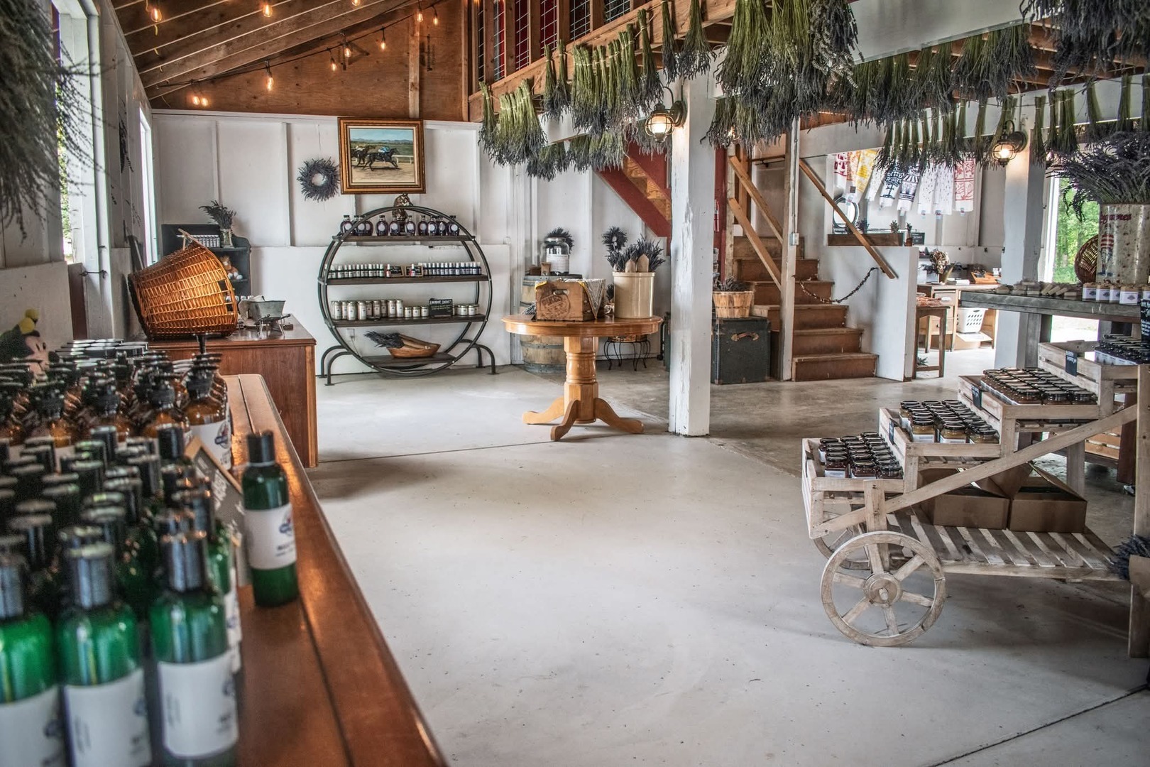 BBQ & BLOOMS: Fathers Day at Our Legacy Fields Lavender Farm in Stanwood! - BBQ & BLOOMS: Fathers Day at Our Legacy Fields Lavender Farm in Stanwood!