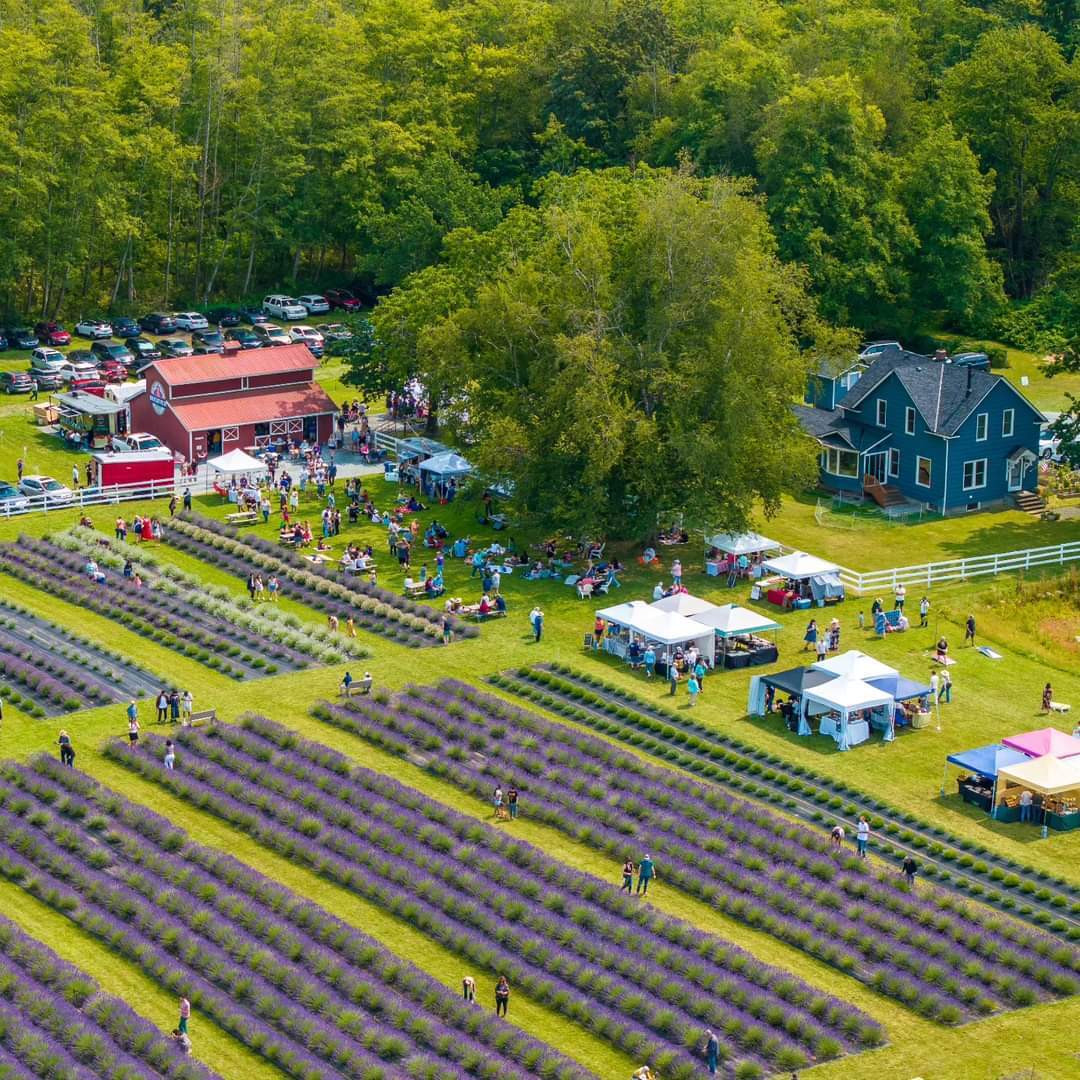 BLOOM FEST 2026 - Lavender Festival at Our Legacy Fields in Stanwood, July 18 & 19 - BLOOM FEST 2026 - Lavender Festival at Our Legacy Fields in Stanwood, July 18 & 19