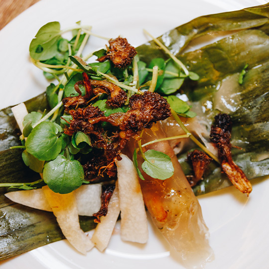 Savor Cincinnati Spring Series - Savor Cincinnati Spring Series