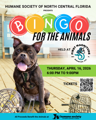 Event image for Bingo for the Animals