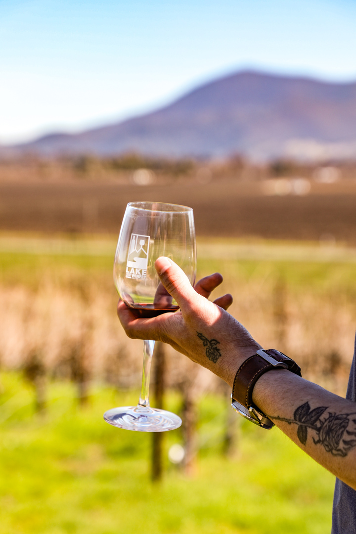 Lake County Wine Adventure 2026 - Lake County Wine Adventure 2026