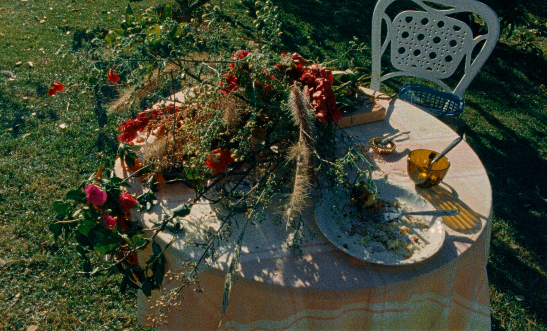 Cadence presents Video Poetry from 21 countries at the 9th Annual Festival! - Cadence presents Video Poetry from 21 countries at the 9th Annual Festival!