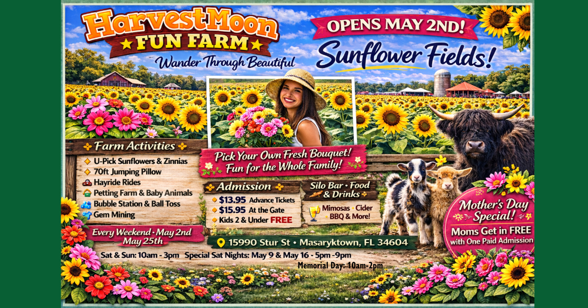 Sunflower Festival at HarvestMoon Fun Farm - Sunflower Festival at HarvestMoon Fun Farm