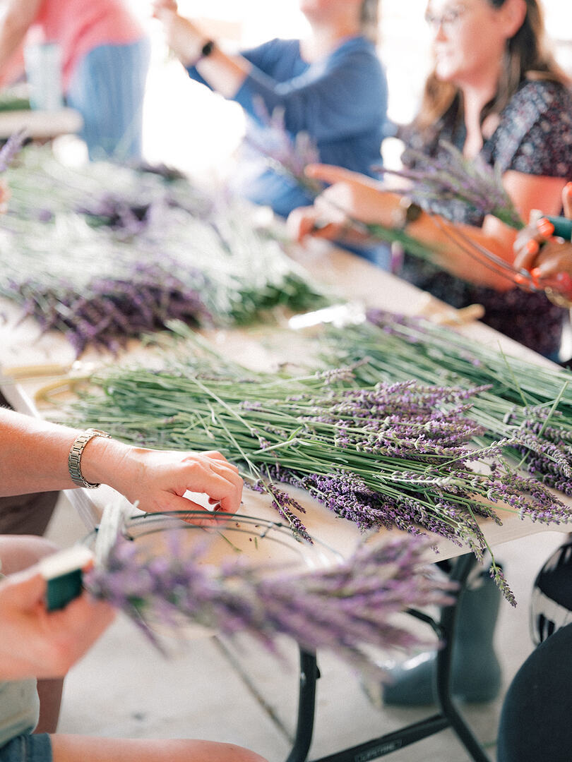 Lavender Days Festival - Lavender Days Festival