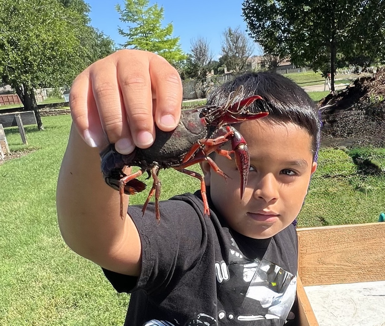 Crawfish and Music Festival - Crawfish and Music Festival