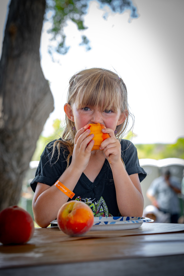 Palisade Peach Festival - Palisade Peach Festival