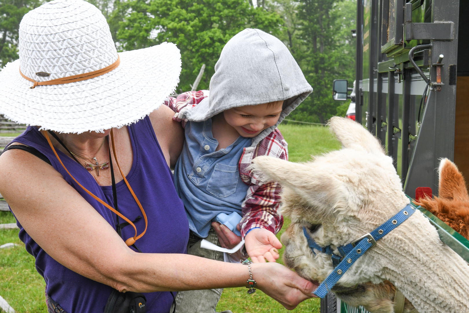 Sheep & Wool Festival