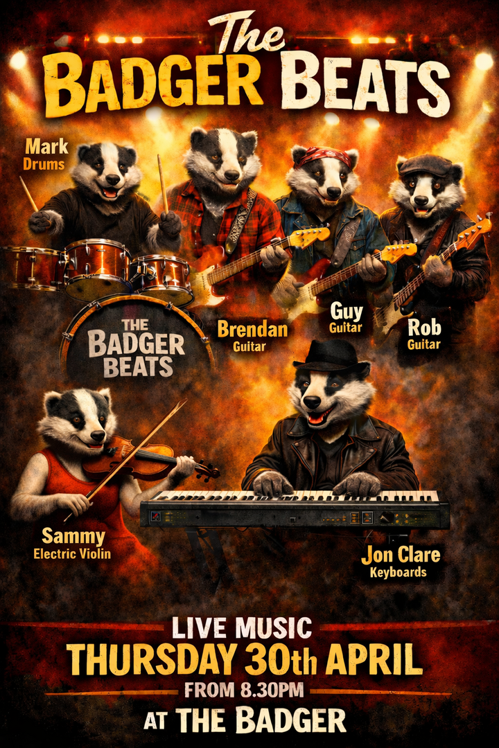 THE BADGER BEATS live music at The Badger