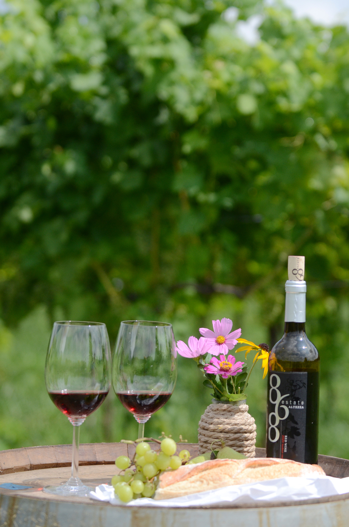 NoVA MusicFest at 868 Estate Vineyards - NoVA MusicFest at 868 Estate Vineyards