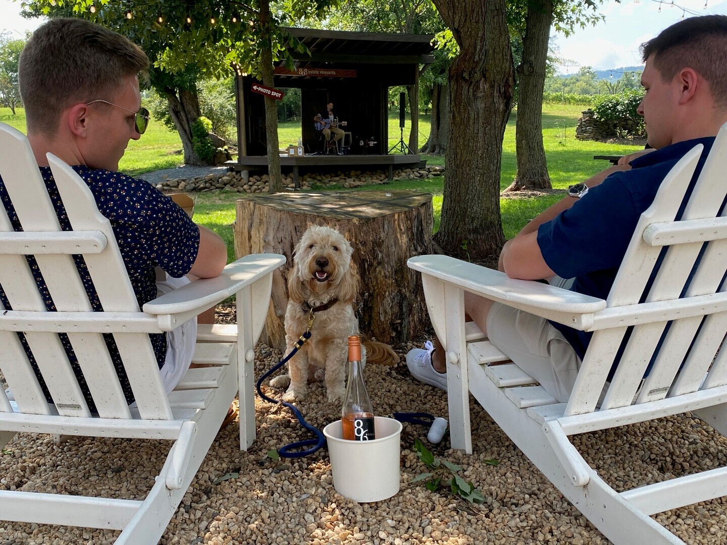 NoVA MusicFest at 868 Estate Vineyards - NoVA MusicFest at 868 Estate Vineyards