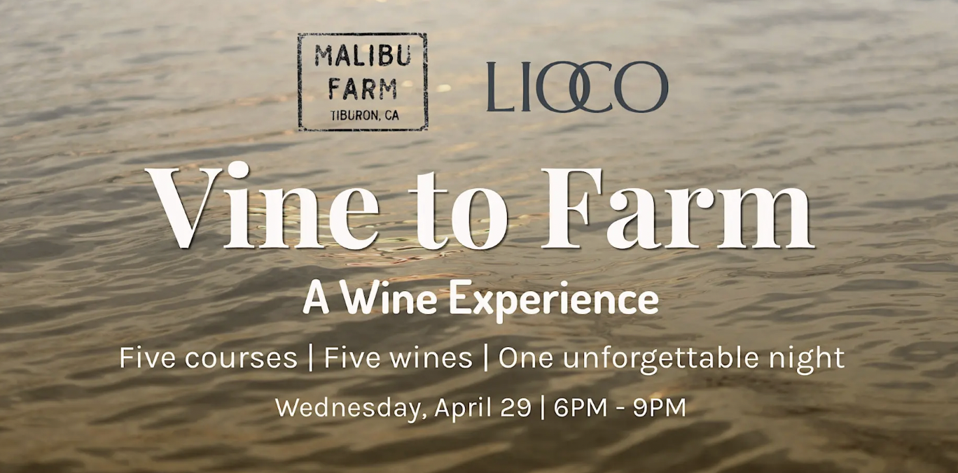 Vine to Farm: A Wine Experience