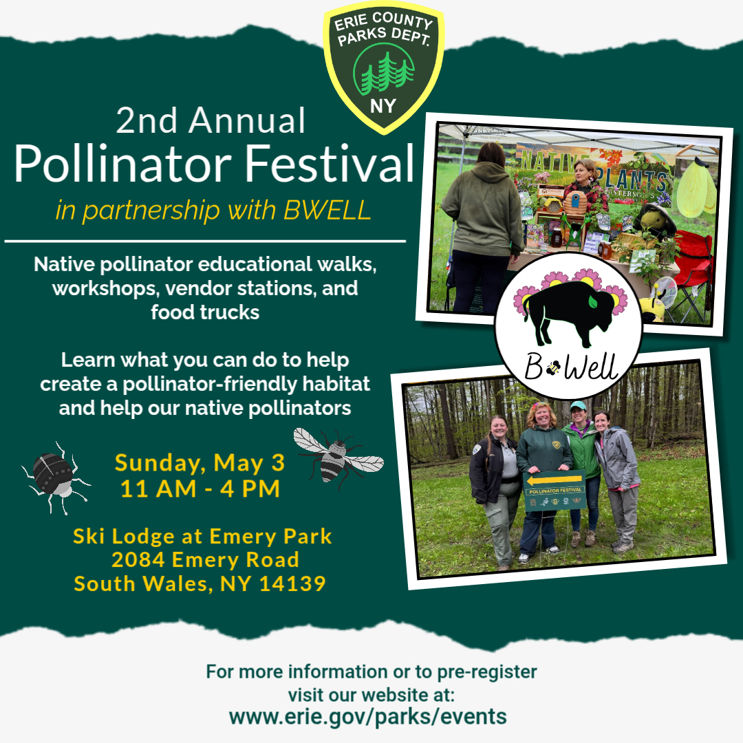 2nd Annual Pollinator Festival