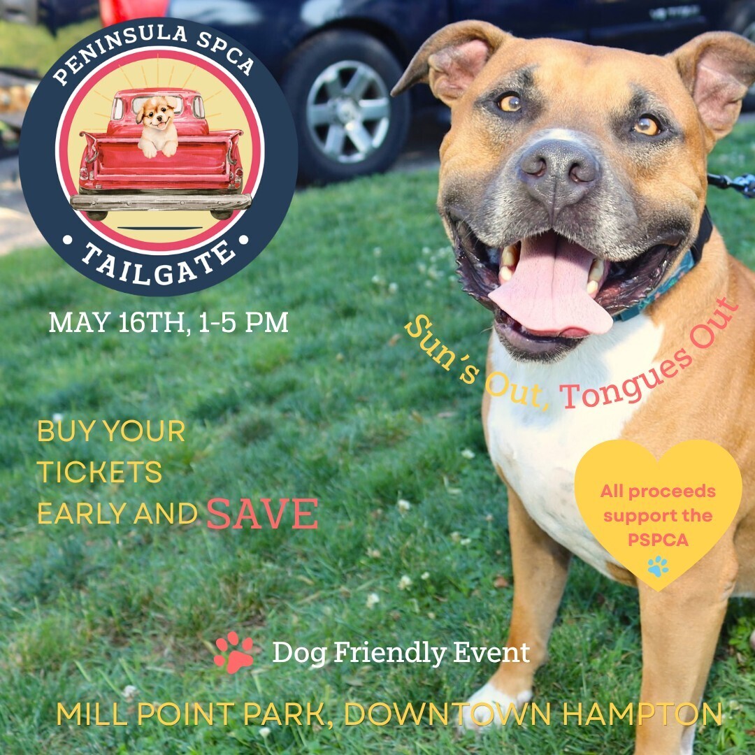 Where Paws Meet Party: Peninsula SPCA's Tailgate Festival - Where Paws Meet Party: Peninsula SPCA's Tailgate Festival